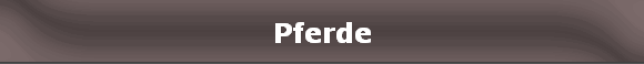 Pferde