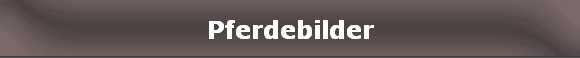 Pferdebilder