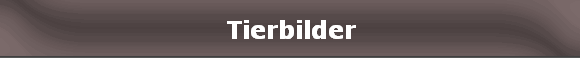 Tierbilder